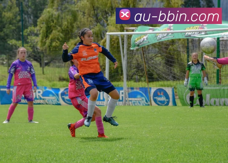 bbin体育平台平台生态图