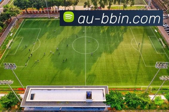 bbin体育平台全站App